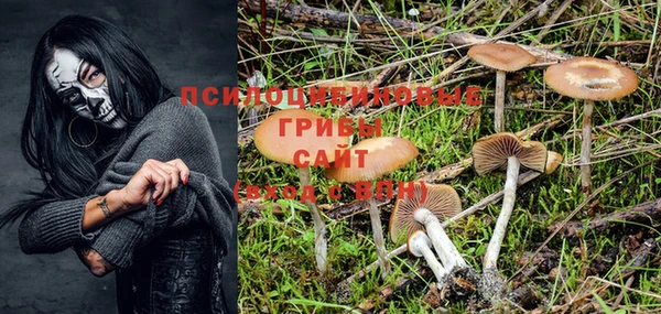 твердый Балабаново